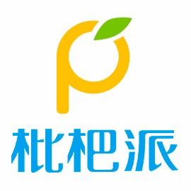 南京枇杷派网络科技 创新驱动数字未来的科技先锋