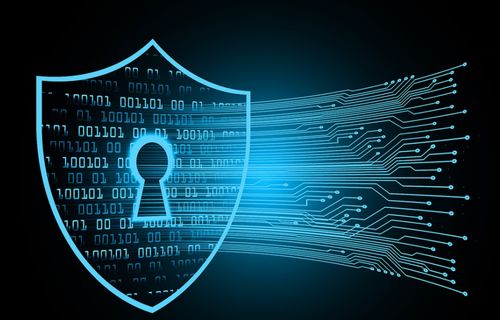 网络科技 美国移民与高薪就业的新宠